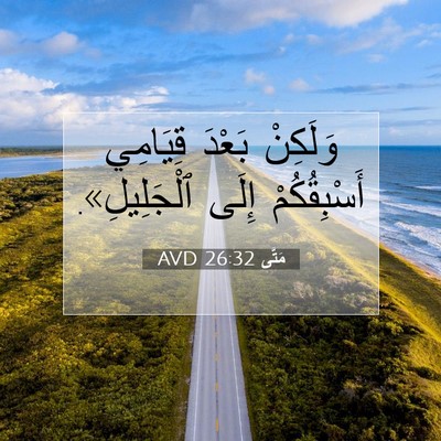 Picture 07 - مَتَّى 26:32 AVD - وَلَكِنْ بَعْدَ قِيَامِي - Bible Verse Picture