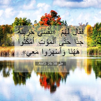 Picture 07 - مَتَّى 26:38 AVD - فَقَالَ لَهُمْ: «نَفْسِي - Bible Verse Picture