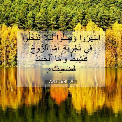 Picture 07 - مَتَّى 26:41 AVD - اِسْهَرُوا وَصَلُّوا - Bible Verse Picture