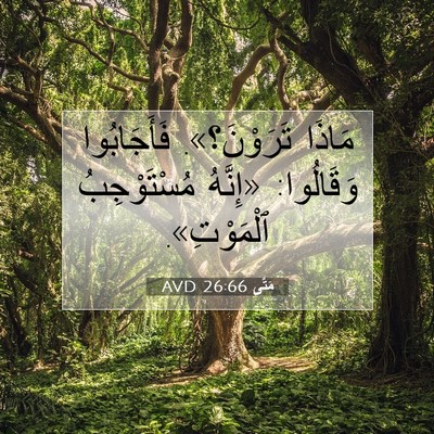 Picture 07 - مَتَّى 26:66 AVD - مَاذَا تَرَوْنَ؟». - Bible Verse Picture