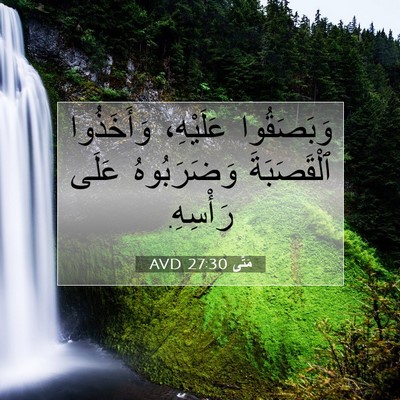 Picture 07 - مَتَّى 27:30 AVD - وَبَصَقُوا عَلَيْهِ، - Bible Verse Picture