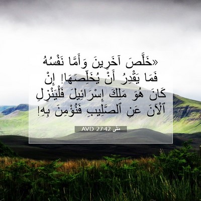 Picture 07 - مَتَّى 27:42 AVD - «خَلَّصَ آخَرِينَ - Bible Verse Picture