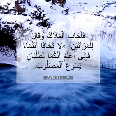Picture 07 - مَتَّى 28:5 AVD - فَأَجَابَ ٱلْمَلَاكُ - Bible Verse Picture