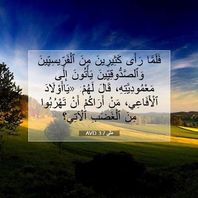 Picture 07 - مَتَّى 3:7 AVD - فَلَمَّا رَأَى كَثِيرِينَ - Bible Verse Picture