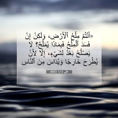 Picture 07 - مَتَّى 5:13 AVD - «أَنْتُمْ مِلْحُ - Bible Verse Picture