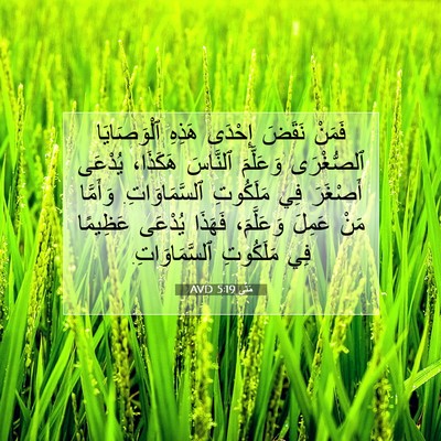 Picture 07 - مَتَّى 5:19 AVD - فَمَنْ نَقَضَ إِحْدَى - Bible Verse Picture