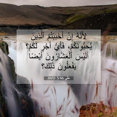 Picture 07 - مَتَّى 5:46 AVD - لِأَنَّهُ إِنْ - Bible Verse Picture