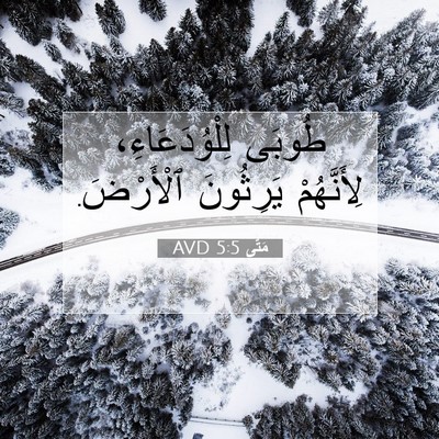 Picture 07 - مَتَّى 5:5 AVD - طُوبَى لِلْوُدَعَاءِ، - Bible Verse Picture
