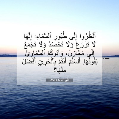 Picture 07 - مَتَّى 6:26 AVD - اُنْظُرُوا إِلَى طُيُورِ - Bible Verse Picture