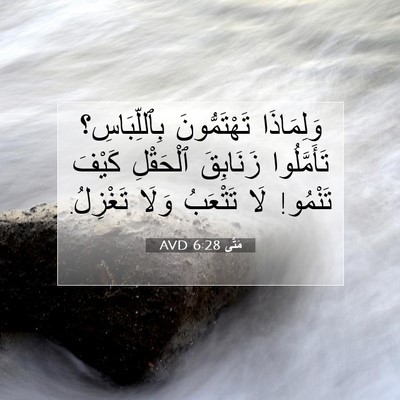 Picture 07 - مَتَّى 6:28 AVD - وَلِمَاذَا تَهْتَمُّونَ - Bible Verse Picture