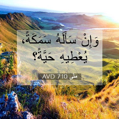 Picture 07 - مَتَّى 7:10 AVD - وَإِنْ سَأَلَهُ سَمَكَةً، - Bible Verse Picture