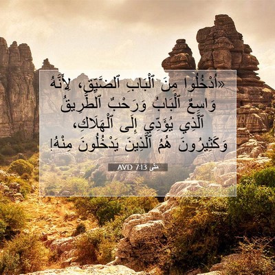 Picture 07 - مَتَّى 7:13 AVD - «اُدْخُلُوا مِنَ ٱلْبَابِ - Bible Verse Picture