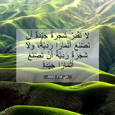 Picture 07 - مَتَّى 7:18 AVD - لَا تَقْدِرُ شَجَرَةٌ - Bible Verse Picture