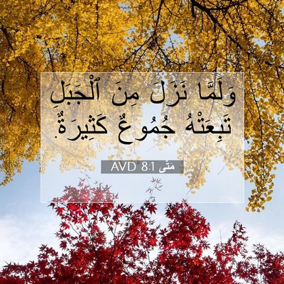 Picture 07 - مَتَّى 8:1 AVD - وَلَمَّا نَزَلَ مِنَ - Bible Verse Picture
