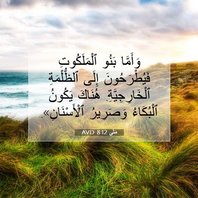 Picture 07 - مَتَّى 8:12 AVD - وَأَمَّا بَنُو - Bible Verse Picture
