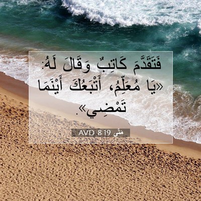 Picture 07 - مَتَّى 8:19 AVD - فَتَقَدَّمَ كَاتِبٌ - Bible Verse Picture