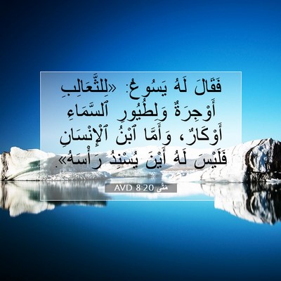 Picture 07 - مَتَّى 8:20 AVD - فَقَالَ لَهُ يَسُوعُ: - Bible Verse Picture