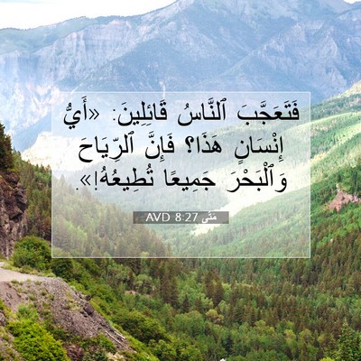 Picture 07 - مَتَّى 8:27 AVD - فَتَعَجَّبَ ٱلنَّاسُ - Bible Verse Picture