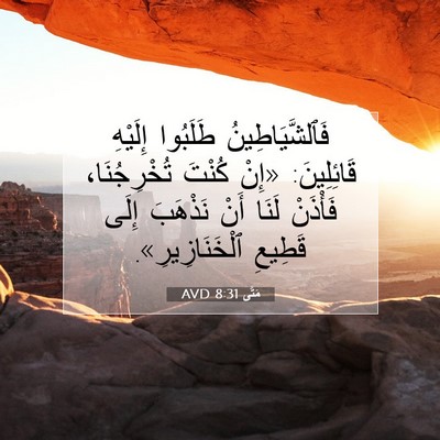 Picture 07 - مَتَّى 8:31 AVD - فَٱلشَّيَاطِينُ طَلَبُوا - Bible Verse Picture