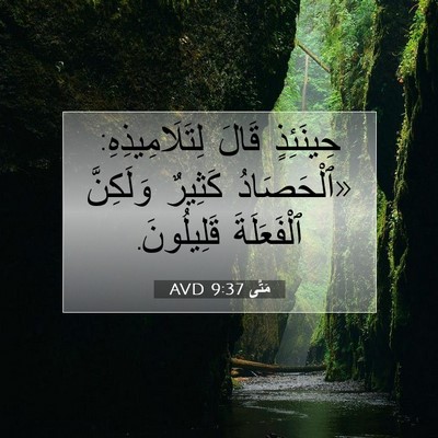 Picture 07 - مَتَّى 9:37 AVD - حِينَئِذٍ قَالَ - Bible Verse Picture