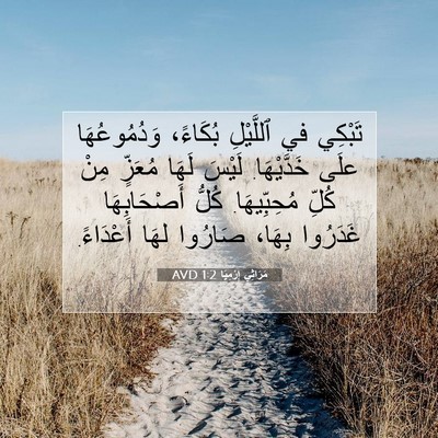 Picture 07 - مَرَاثِي إِرْمِيَا 1:2 AVD - تَبْكِي في ٱللَّيْلِ - Bible Verse Picture