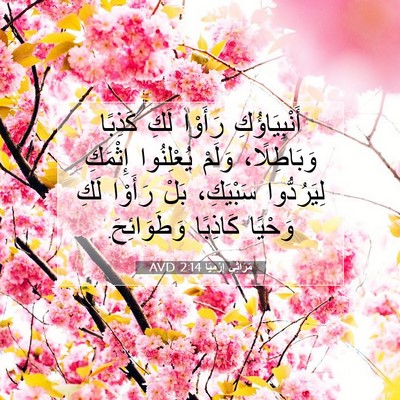 Picture 07 - مَرَاثِي إِرْمِيَا 2:14 AVD - أَنْبِيَاؤُكِ رَأَوْا - Bible Verse Picture