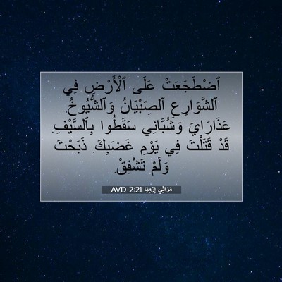 Picture 07 - مَرَاثِي إِرْمِيَا 2:21 AVD - ٱضْطَجَعَتْ عَلَى - Bible Verse Picture