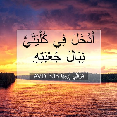 Picture 07 - مَرَاثِي إِرْمِيَا 3:13 AVD - أَدْخَلَ فِي كُلْيَتَيَّ - Bible Verse Picture