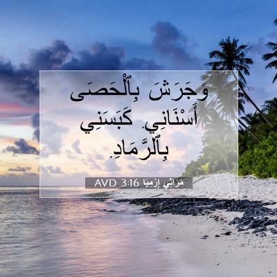 Picture 07 - مَرَاثِي إِرْمِيَا 3:16 AVD - وَجَرَشَ بِٱلْحَصَى - Bible Verse Picture