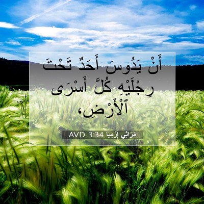Picture 07 - مَرَاثِي إِرْمِيَا 3:34 AVD - أَنْ يَدُوسَ أَحَدٌ تَحْتَ - Bible Verse Picture