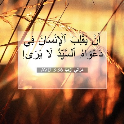 Picture 07 - مَرَاثِي إِرْمِيَا 3:36 AVD - أَنْ يَقْلِبَ - Bible Verse Picture