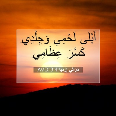 Picture 07 - مَرَاثِي إِرْمِيَا 3:4 AVD - أَبْلَى لَحْمِي وَجِلْدِي. - Bible Verse Picture