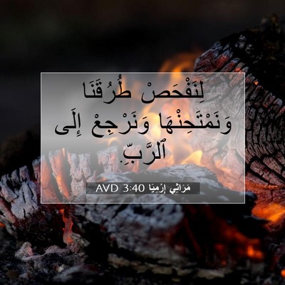 Picture 07 - مَرَاثِي إِرْمِيَا 3:40 AVD - لِنَفْحَصْ طُرُقَنَا - Bible Verse Picture