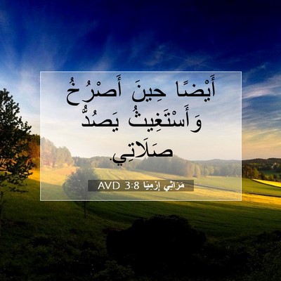 Picture 07 - مَرَاثِي إِرْمِيَا 3:8 AVD - أَيْضًا حِينَ أَصْرُخُ - Bible Verse Picture