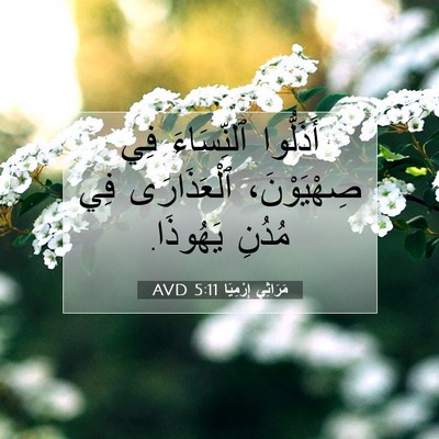 Picture 07 - مَرَاثِي إِرْمِيَا 5:11 AVD - أَذَلُّوا ٱلنِّسَاءَ فِي - Bible Verse Picture