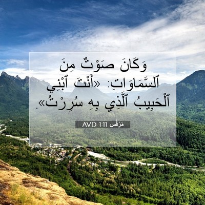 Picture 07 - مَرْقُس 1:11 AVD - وَكَانَ صَوْتٌ مِنَ - Bible Verse Picture