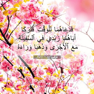 Picture 07 - مَرْقُس 1:20 AVD - فَدَعَاهُمَا لِلْوَقْتِ. - Bible Verse Picture
