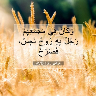 Picture 07 - مَرْقُس 1:23 AVD - وَكَانَ فِي مَجْمَعِهِمْ - Bible Verse Picture