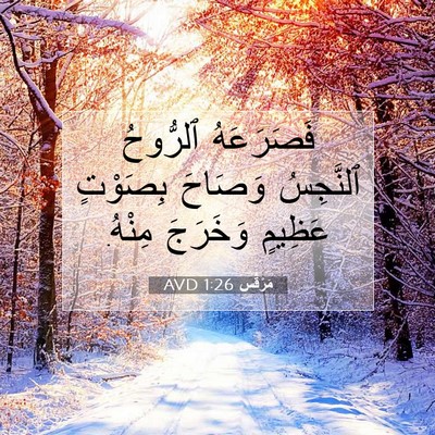 Picture 07 - مَرْقُس 1:26 AVD - فَصَرَعَهُ ٱلرُّوحُ - Bible Verse Picture