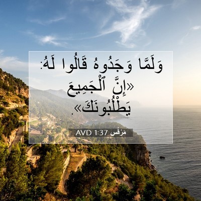 Picture 07 - مَرْقُس 1:37 AVD - وَلَمَّا وَجَدُوهُ - Bible Verse Picture