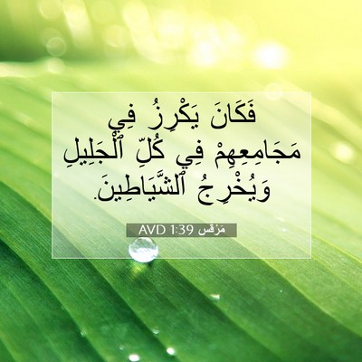 Picture 07 - مَرْقُس 1:39 AVD - فَكَانَ يَكْرِزُ فِي - Bible Verse Picture