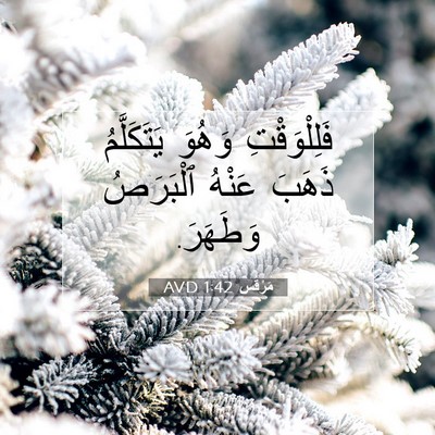 Picture 07 - مَرْقُس 1:42 AVD - فَلِلْوَقْتِ وَهُوَ - Bible Verse Picture