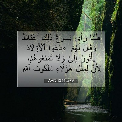 Picture 07 - مَرْقُس 10:14 AVD - فَلَمَّا رَأَى يَسُوعُ - Bible Verse Picture