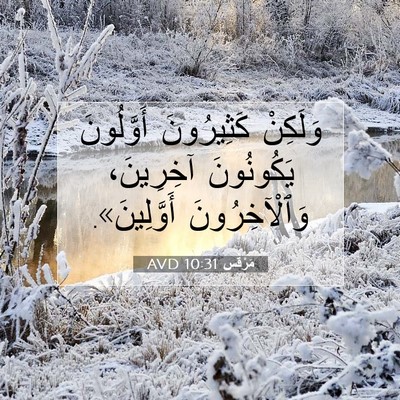 Picture 07 - مَرْقُس 10:31 AVD - وَلَكِنْ كَثِيرُونَ - Bible Verse Picture