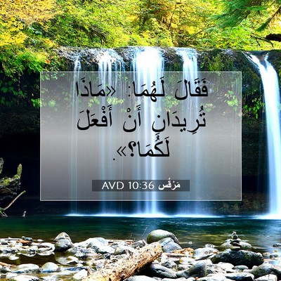 Picture 07 - مَرْقُس 10:36 AVD - فَقَالَ لَهُمَا: «مَاذَا - Bible Verse Picture