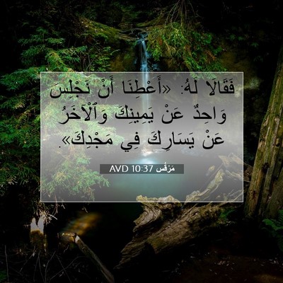 Picture 07 - مَرْقُس 10:37 AVD - فَقَالَا لَهُ: «أَعْطِنَا - Bible Verse Picture