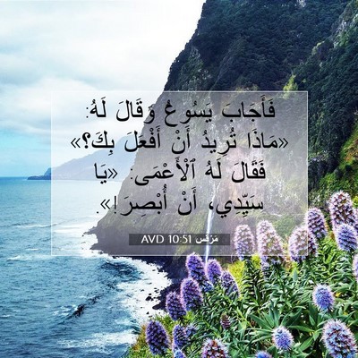 Picture 07 - مَرْقُس 10:51 AVD - فَأَجَابَ يَسُوعُ وَقَالَ - Bible Verse Picture
