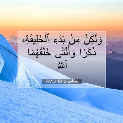 Picture 07 - مَرْقُس 10:6 AVD - وَلَكِنْ مِنْ بَدْءِ - Bible Verse Picture