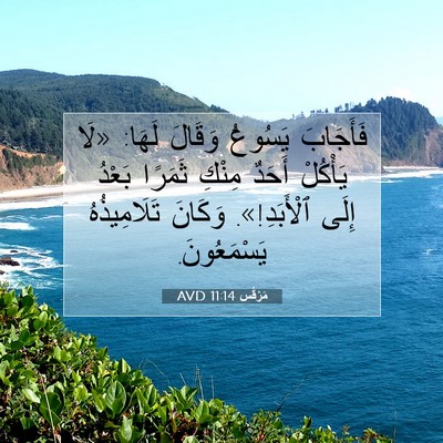 Picture 07 - مَرْقُس 11:14 AVD - فَأَجَابَ يَسُوعُ وَقَالَ - Bible Verse Picture