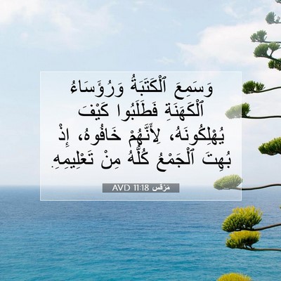 Picture 07 - مَرْقُس 11:18 AVD - وَسَمِعَ ٱلْكَتَبَةُ - Bible Verse Picture